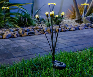 Starlyf Glow Lights 2x1 a 248 LEU