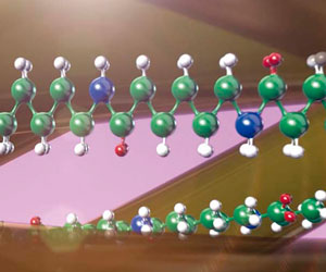 Dura Sheers 3x 59,99€