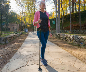 Wellpro Walking Stick a 59,99€