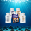 GlutLess Energy And GlutLess Sleep - Popular Bundle