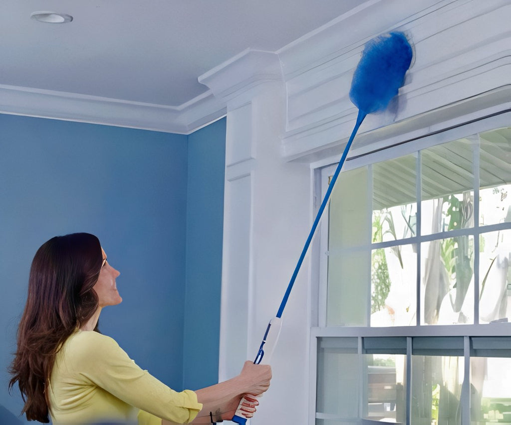 Instant Duster Pro 2x1 a 59,99€