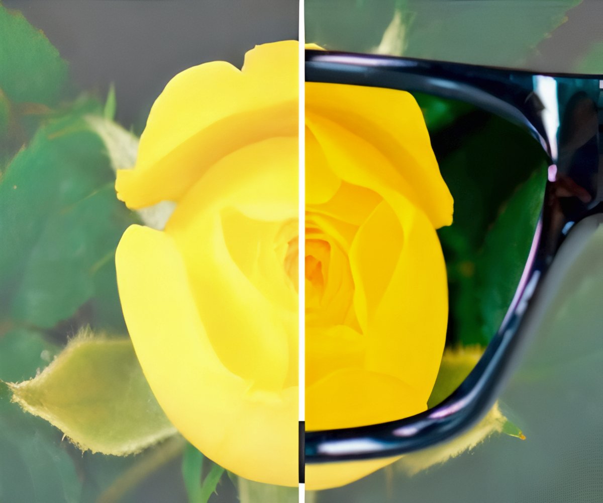 Polaryte Photochromic a 39,99€